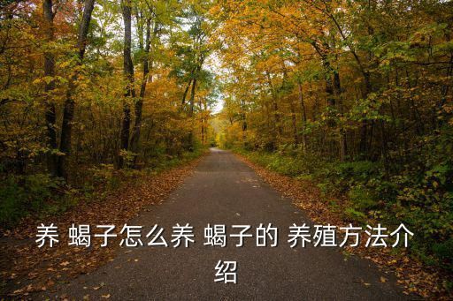 养 蝎子怎么养 蝎子的 养殖方法介绍