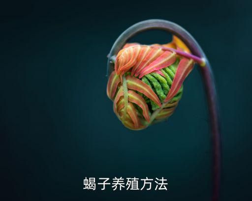 蝎子养殖方法