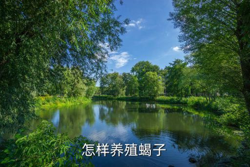 怎样养殖蝎子
