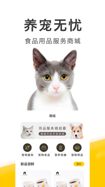 买只宠物介绍图