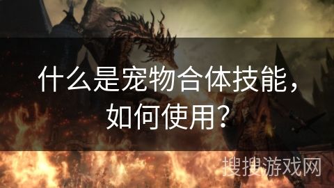 什么是宠物合体技能，如何使用？