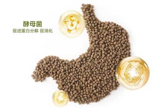 PETALK宠心语9099猫粮：用科研实力打破国产粮“高淀粉困局”