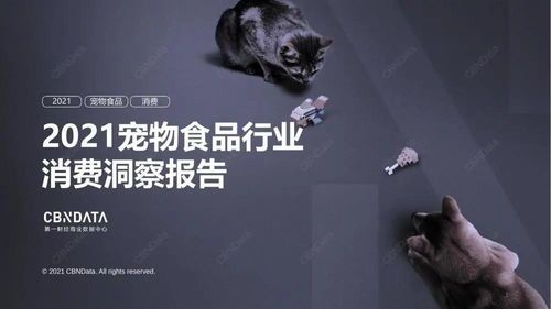 解码宠物肢体，洞察宠物心语