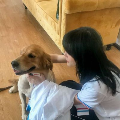 女生头像带宠物的头像