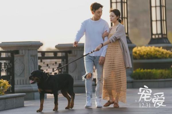 电影《宠爱》诠释了宠物对人的意义，你能被这部电影打动吗？