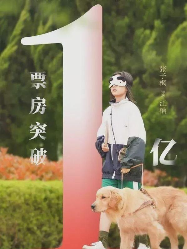 电影《宠爱》诠释了宠物对人的意义，你能被这部电影打动吗？