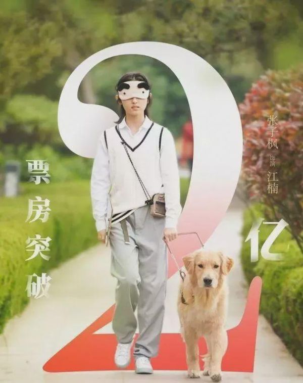 电影《宠爱》诠释了宠物对人的意义，你能被这部电影打动吗？