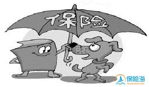 大一新生射杀猫咪 宠物保险保障宠物安全