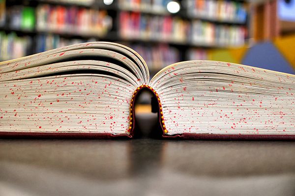 哪里培训宠物医生学校