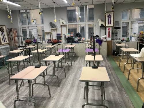 教学环境