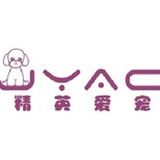 精英爱宠