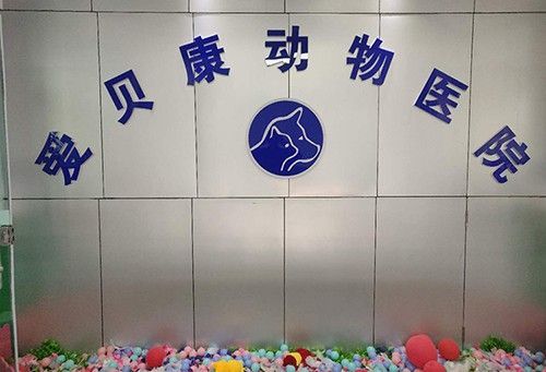 西宁市宠物医院,西宁市宠物医院哪家最好