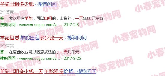 羊驼租赁一天多少钱