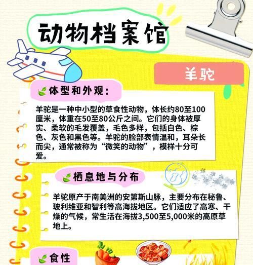 羊驼的价格如何计算？羊驼的饲养成本是多少？