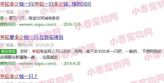 羊驼价格多少