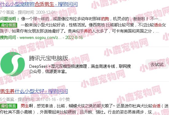适合男生养的狗狗