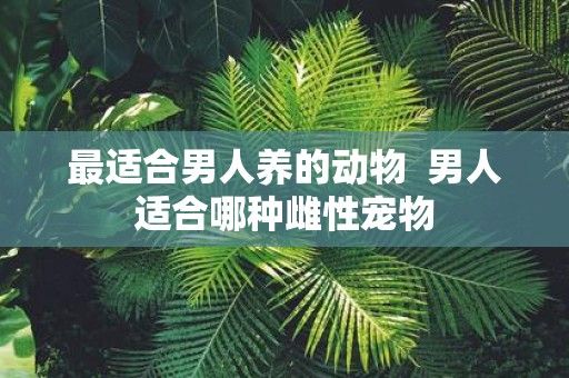 最适合男人养的动物 男人适合哪种雌性宠物