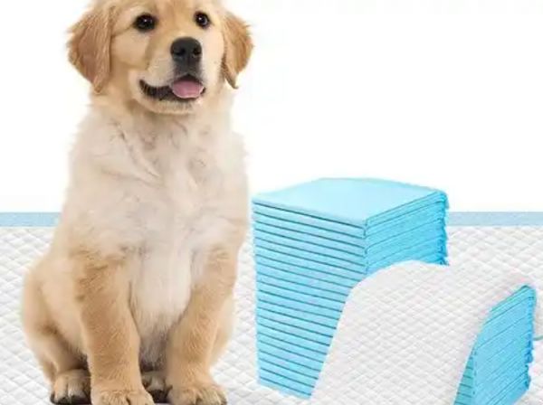宠上宠宠物用品有哪些，介绍下