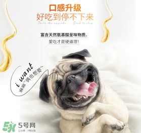 狗狗营养膏什么牌子好？狗狗营养膏多少钱？