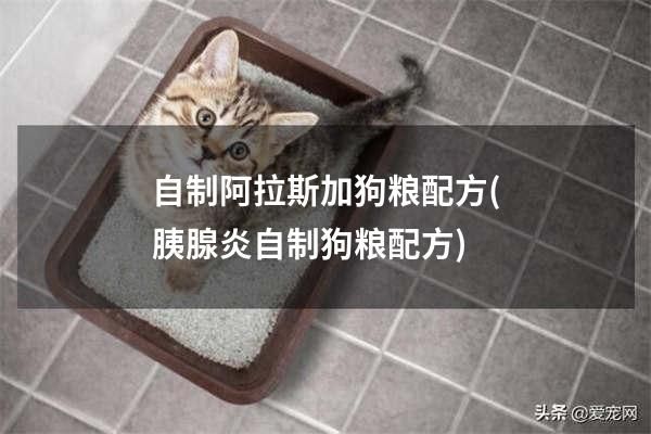 自制阿拉斯加狗粮配方(胰腺炎自制狗粮配方)