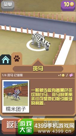 疯狂动物园