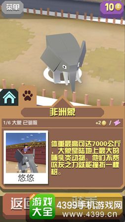 疯狂动物园