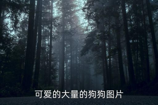可爱的大量的狗狗图片