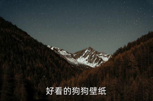 好看的狗狗壁纸