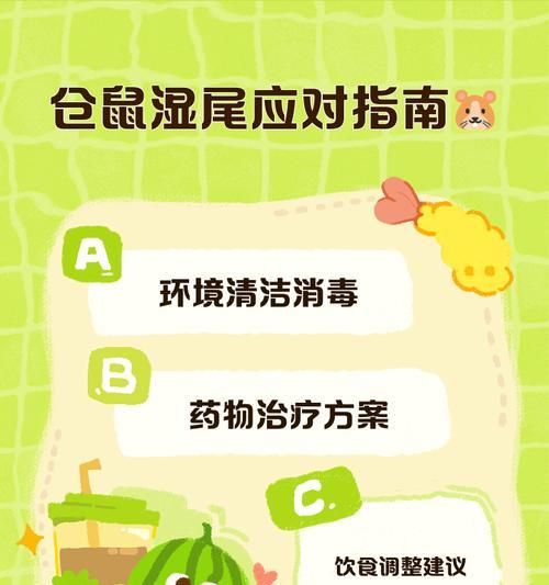 仓鼠湿尾病解析（原因、症状及预防措施）