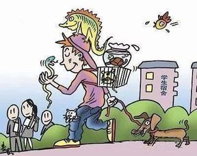 如何在宿舍养宠物不违规？宿舍养宠物的注意事项和解决方案