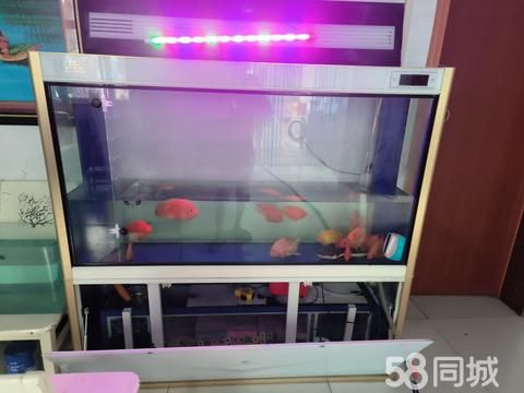 焦作宠物用品/食品·出售一台150的鱼缸，不想养了喜欢带走吧，好东西不等人焦作博爱自提