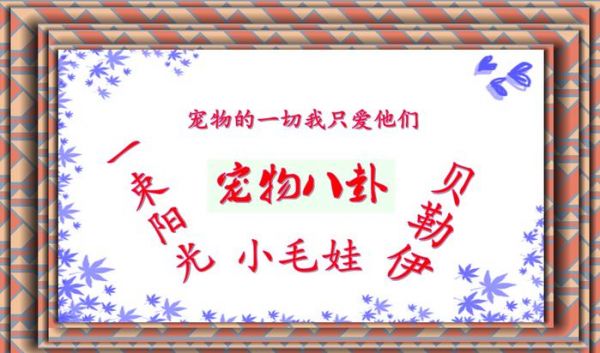 【宠物八卦铲屎官课堂】猫砂除臭和铲屎的秘诀