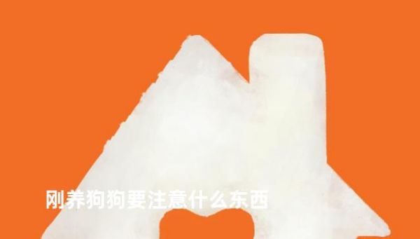 刚养狗狗要注意什么东西