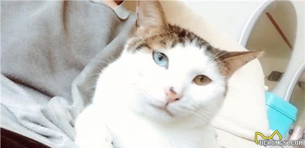 第一次养狗有没有什么注意事项？