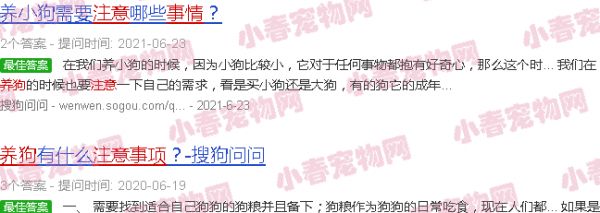 养狗注意事项图片