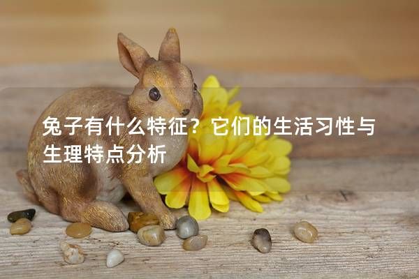 兔子有什么特征？它们的生活习性与生理特点分析