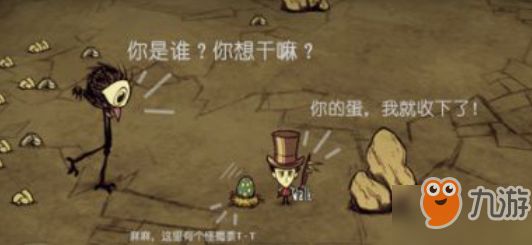 饥荒养鸟有哪些技巧