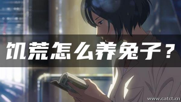 饥荒怎么养兔子？