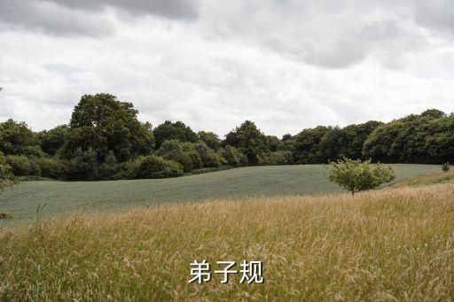 弟子规