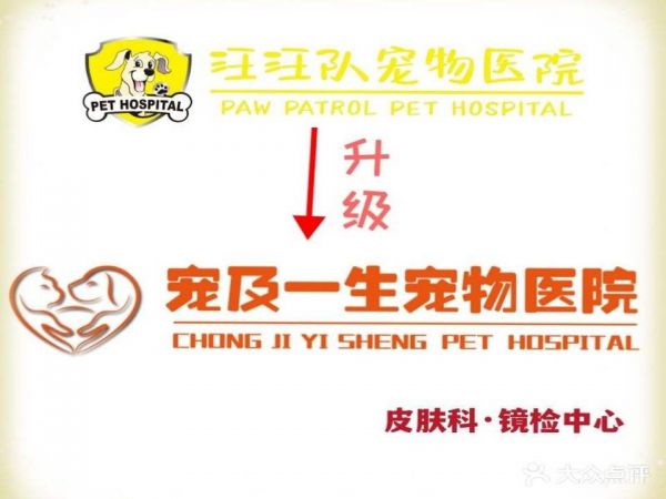 汪汪队宠物医院