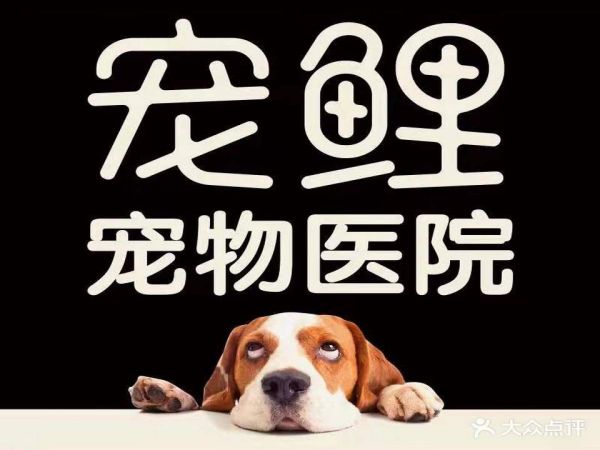 宠鲤宠物医院(城北路店)