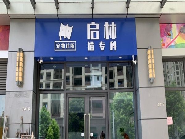 启林猫专科