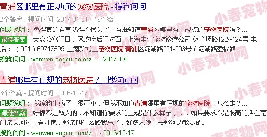 青浦宠物医院排行