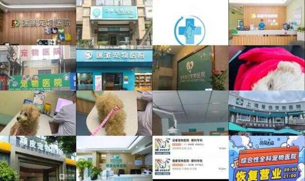 青浦宠物医院排行