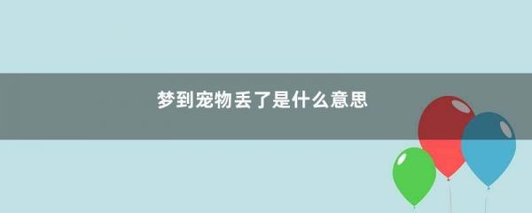 梦到宠物丢了是什么意思