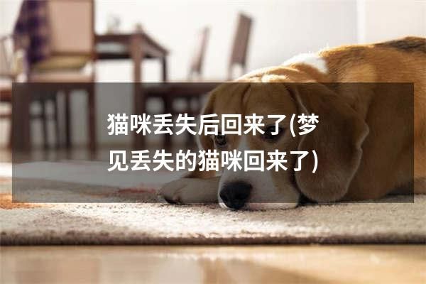 猫咪丢失后回来了(梦见丢失的猫咪回来了)