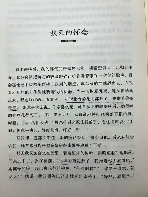 《秋天的怀念》讲了一件什么事_秋天的怀念讲述了什么内容