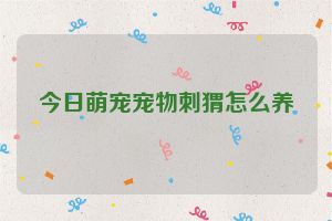 今日萌宠宠物刺猬怎么养