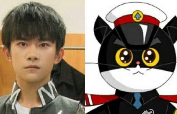 女粉晒宠物猫像易烊千玺，评论区纷纷放图，王俊凯也“中招”？