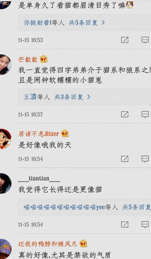 女粉晒宠物猫像易烊千玺，评论区纷纷放图，王俊凯也“中招”？